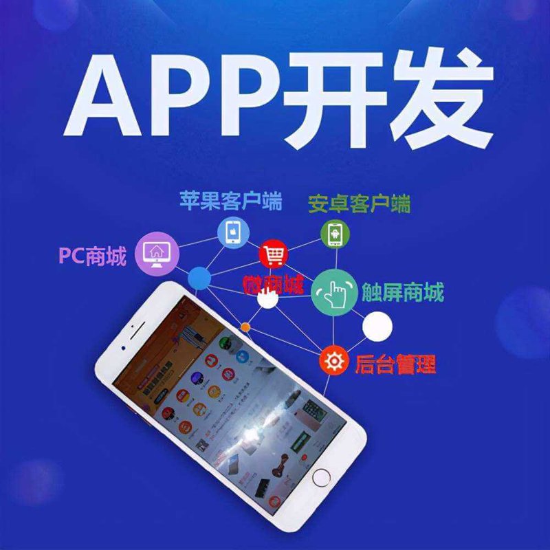 APP开发风起云涌：移动互联网时代的创新之翼