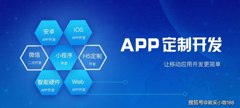 软件定制：企业成长的秘密武器